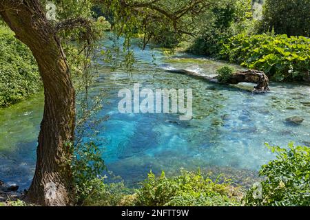 Blaues Auge / Syri i Kaltër / Quellen von Bistricë, türkisfarbener Süßwasserkarstfrühling im Sommer in der Nähe von Muzinë in Finiq, Kreis Vlorë, Südalbanien Stockfoto