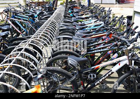 ADLER, SOTSCHI, RUSSLAND - 01. Mai 2019: Fahrradparkplatz kann gemietet werden Stockfoto