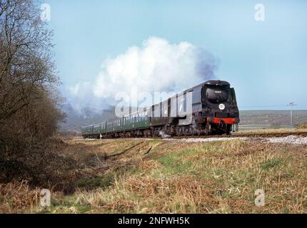 Kampf gegen Großbritannien, Klasse 34072 257, Staffel klettert Corfe Common mit der Swanage Railway 1995 Stockfoto