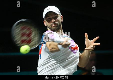 Rotterdam, Niederlande. 17. Februar 2023. Grigor Dimitrov (Bulgarien) im Kampf gegen Alex De Minaur (Australien) während der ABN Amro Open 2023, ATP 500 Tennis Turnier am 17. Februar 2023 in Rotterdam, Niederlande - Foto: Laurent Lairys / DPPI/LiveMedia Credit: Independent Photo Agency/Alamy Live News Stockfoto