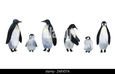 Vektorpinguine. Sammlung von Erwachsenen-Pinguinen mit süßen Baby-Pinguinen. Handgezeichnete Aquarell-Darstellung isoliert auf weißem Hintergrund. Stock Vektor