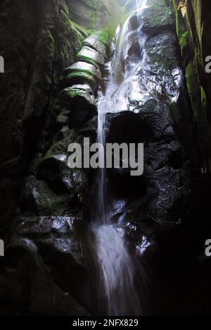 Wasserfall, Adršpach-Teplice Rocks, Adršpašsko-teplické skály, Böhmen, Tschechische Republik, Europa, nationales Naturschutzgebiet Stockfoto