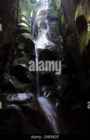 Wasserfall, Adršpach-Teplice Rocks, Adršpašsko-teplické skály, Böhmen, Tschechische Republik, Europa, nationales Naturschutzgebiet Stockfoto