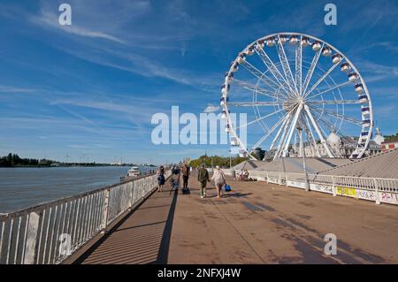 Scheldt Flussufer und Riesenrad „The View“ in Antwerpen (Flandern), Belgien Stockfoto