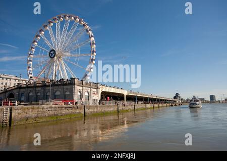 Riesenrad „The View“ mit Blick auf die Schelde in Antwerpen (Flandern), Belgien Stockfoto