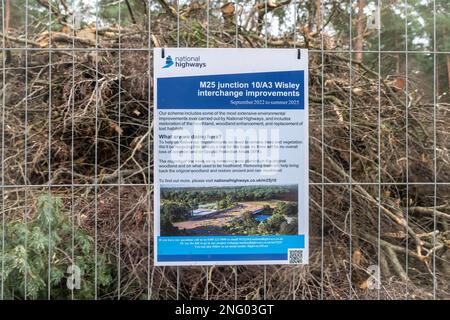 Februar 2023. An der Kreuzung 10/A3 der M25 Wisley Interchange werden Verbesserungen auf den National Highways vorgenommen. Es werden größere Straßenarbeiten durchgeführt, um den Kreisverkehr zu verbessern und die A3 in der Nähe der verkehrsreichen Kreuzung zu erweitern. Viele Bäume wurden auf beiden Seiten des A3 gefällt. Nationale Autobahnen weisen darauf hin, dass umfassende Umweltverbesserungen folgen werden, einschließlich der Wiederherstellung von Heidegebieten, der Verbesserung der Waldflächen und der Ersetzung verlorener Lebensräume. Stockfoto