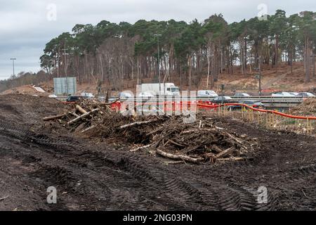 Februar 2023. An der Kreuzung 10/A3 der M25 Wisley Interchange werden Verbesserungen auf den National Highways vorgenommen. Es werden größere Straßenarbeiten durchgeführt, um den Kreisverkehr zu verbessern und die A3 in der Nähe der verkehrsreichen Kreuzung zu erweitern. Viele Bäume wurden auf beiden Seiten des A3 gefällt. Nationale Autobahnen weisen darauf hin, dass umfassende Umweltverbesserungen folgen werden, einschließlich der Wiederherstellung von Heidegebieten, der Verbesserung der Waldflächen und der Ersetzung verlorener Lebensräume. Stockfoto