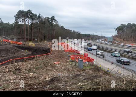 Februar 2023. An der Kreuzung 10/A3 der M25 Wisley Interchange werden Verbesserungen auf den National Highways vorgenommen. Es werden größere Straßenarbeiten durchgeführt, um den Kreisverkehr zu verbessern und die A3 in der Nähe der verkehrsreichen Kreuzung zu erweitern. Viele Bäume wurden auf beiden Seiten des A3 gefällt. Nationale Autobahnen weisen darauf hin, dass umfassende Umweltverbesserungen folgen werden, einschließlich der Wiederherstellung von Heidegebieten, der Verbesserung der Waldflächen und der Ersetzung verlorener Lebensräume. Stockfoto