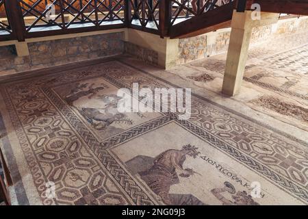 Mosaike im Haus der römischen Villa Dionysos im Archäologischen Park von Paphos in Paphos Stadt, Zypern Inselland Stockfoto