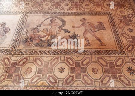 Apollo- und Daphne-Mosaik im Haus der römischen Villa Dionysos im Archäologischen Park Paphos in Paphos Stadt, Zypern Inselland Stockfoto