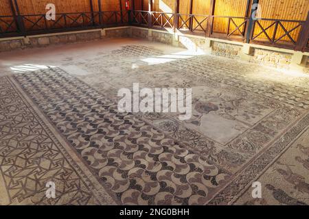 Fußbodenmosaik im Haus der römischen Villa Dionysos im Archäologischen Park Paphos in Paphos Stadt, Zypern Inselland Stockfoto