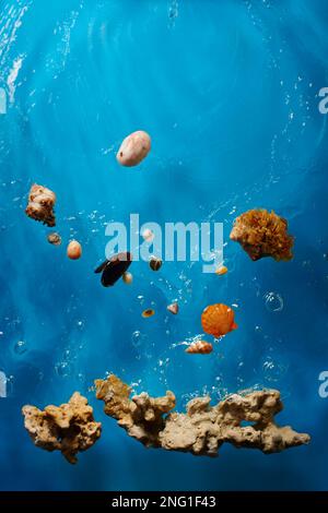 Verschiedene Muscheln, Riff und Steine im hellblauen Ozeanwasser mit Wellen und Blasen Stockfoto