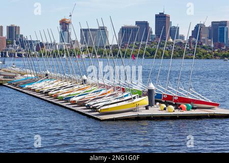 Charles River: MIT Segelbooten, vom Dr. Paul Dudley White Bike Path aus gesehen. Longfellow Bridge und Beacon Hill sind im Hintergrund. Stockfoto