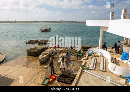 Landschaft von Oualidia, einem Dorf an Marokkos Atlantikküste in der Region Casablanca-Settat und an der Grenze von Merrakch-Asfi. Stockfoto