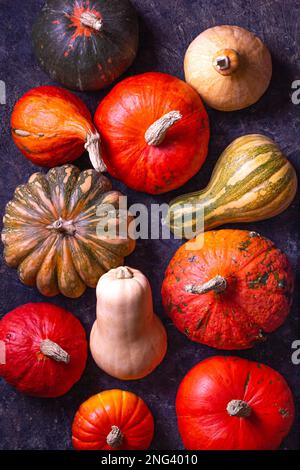 Kürbisvielfalt - Herbstliches Stillleben mit cucurbita-Früchten gibt es in einer Auswahl von Farben und Größen, flach liegend, Draufsicht Stockfoto