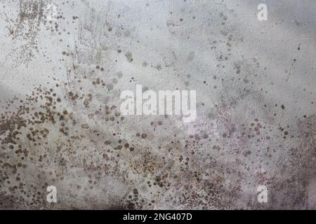 Schwarze Flecken von toxischen Schimmel- und Pilzbakterien an der Innenwand des Hauses. Konzept von Kondensation, Feuchtigkeit und hoher Luftfeuchtigkeit Stockfoto