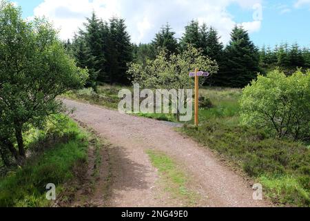 Helensburgh, Argyll und Bute, Schottland. 29. Juni 2014, die Kreuzung des John Muir Way und des Three Lochs Way in den Hügeln über Helensburgh. Stockfoto