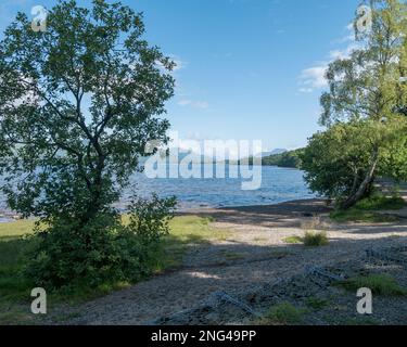 Blick auf Loch Lomond und Ben Lomond vom John Muir Way Wanderweg im Balloch Castle Country Park, West Dunbartonshire, Schottland. Stockfoto