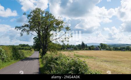 Der Wanderweg John Muir Way führt über die National Cycle Route 7 auf ruhigen Landstraßen in östlicher Richtung vom Loch Lomond nach Croftamie, Zentralschottland Stockfoto