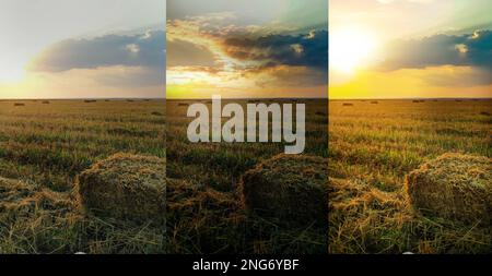 Photos before and after retouch, collage. Hay block on mowed field Stockfoto