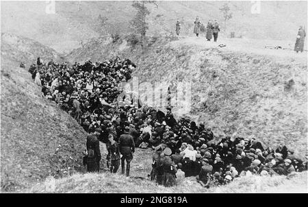 Die Anfangsphase des Holocaust war nicht mit Gaskammern, sondern mit mobilen Hinrichtungstruppen namens Enisatzgruppen. Ihre Aufgabe war es, hinter der Front zu streiten und alle Juden zu erschießen, die sie kriegen konnten. Sie töteten schätzungsweise zwei Millionen Menschen. Dieses Foto zeigt Juden aus dem Mizocz Ghetto, die mit Hilfe der Gendarmerie und der ukrainischen Schutzmannschaften zur Hinrichtung zusammengetrieben wurden.14. Oktober 1942 Stockfoto