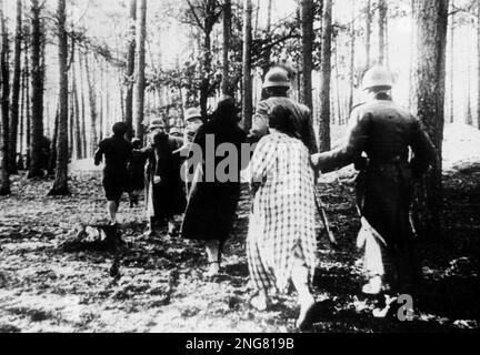 Die Anfangsphase des Holocaust war nicht mit Gaskammern, sondern mit mobilen Hinrichtungstruppen namens Enisatzgruppen. Ihre Aufgabe war es, hinter der Front zu streiten und alle Juden zu erschießen, die sie kriegen konnten. Sie töteten schätzungsweise zwei Millionen Menschen. Dieses Foto zeigt polnische Frauen, die in einem Wald in der Nähe des Dorfes Palmiry zur Massenermordung geführt wurden. Nach dem Krieg wurde die Frau im Vordergrund als Janina Skalska identifiziert. Stockfoto