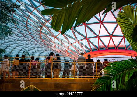 Der Flughafen Jewel Changi ist ein Mixed-Use-Projekt am Flughafen Changi in Singapur. Stockfoto