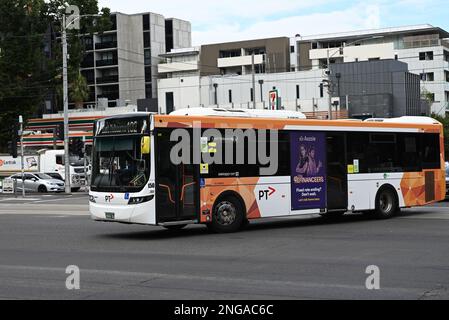 Seitenansicht eines Volgren Volvo-Busses mit moderner PTV-Lackierung, während er eine Kreuzung im Inneren von Melbourne fährt Stockfoto