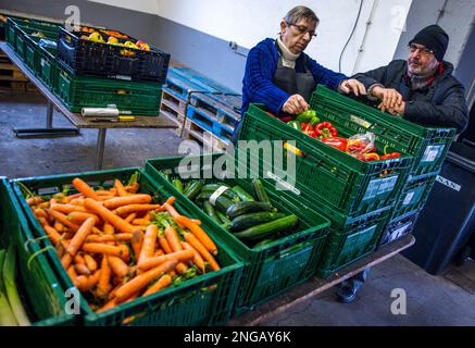 Schwerin, Deutschland. 16. Februar 2023. Freiwillige der Schweriner Lebensmittelbank prüfen, sortieren und verteilen die Lebensmittelspenden. Angesichts der derzeit hohen Inflation spielen die staatlichen Lebensmittelbanken eine besonders wichtige Rolle, wenn es darum geht, einkommensschwache Haushalte mit den grundlegenden Notwendigkeiten auszustatten. Kredit: Jens Büttner/dpa/Alamy Live News Stockfoto