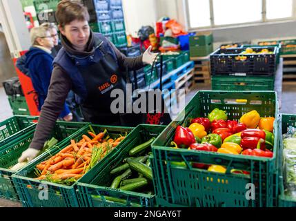 Schwerin, Deutschland. 16. Februar 2023. Freiwillige der Schweriner Lebensmittelbank prüfen, sortieren und verteilen die Lebensmittelspenden. Angesichts der derzeit hohen Inflation spielen die staatlichen Lebensmittelbanken eine besonders wichtige Rolle, wenn es darum geht, einkommensschwache Haushalte mit den grundlegenden Notwendigkeiten auszustatten. Kredit: Jens Büttner/dpa/Alamy Live News Stockfoto