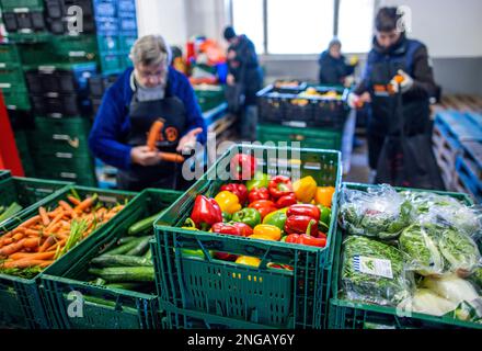 Schwerin, Deutschland. 16. Februar 2023. Freiwillige der Schweriner Lebensmittelbank prüfen, sortieren und verteilen die Lebensmittelspenden. Angesichts der derzeit hohen Inflation spielen die staatlichen Lebensmittelbanken eine besonders wichtige Rolle, wenn es darum geht, einkommensschwache Haushalte mit den grundlegenden Notwendigkeiten auszustatten. Kredit: Jens Büttner/dpa/Alamy Live News Stockfoto