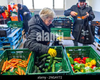 Schwerin, Deutschland. 16. Februar 2023. Freiwillige der Schweriner Lebensmittelbank prüfen, sortieren und verteilen die Lebensmittelspenden. Angesichts der derzeit hohen Inflation spielen die staatlichen Lebensmittelbanken eine besonders wichtige Rolle, wenn es darum geht, einkommensschwache Haushalte mit den grundlegenden Notwendigkeiten auszustatten. Kredit: Jens Büttner/dpa/Alamy Live News Stockfoto