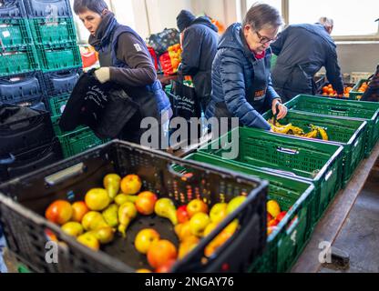 Schwerin, Deutschland. 16. Februar 2023. Freiwillige der Schweriner Lebensmittelbank prüfen, sortieren und verteilen die Lebensmittelspenden. Angesichts der derzeit hohen Inflation spielen die staatlichen Lebensmittelbanken eine besonders wichtige Rolle, wenn es darum geht, einkommensschwache Haushalte mit den grundlegenden Notwendigkeiten auszustatten. Kredit: Jens Büttner/dpa/Alamy Live News Stockfoto