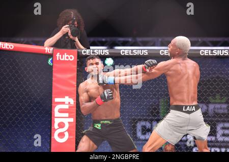 ORLANDO, Florida - Februar 17 Manoel Sousa und Paulo Laia tauschen ihre Schläge in Woche 4 der PFL Challenger Series am 17. Februar 2023 in den Universal Studios in Orlando, Florida. (Foto: Aaron Litz/PxImages) Kredit: Px Images/Alamy Live News Stockfoto