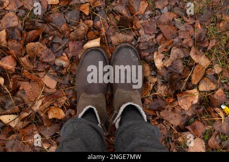 Weibliche Füße in braunen Schuhen stehen im Dezember auf trockenen gelben Herbstblättern im Wald Stockfoto