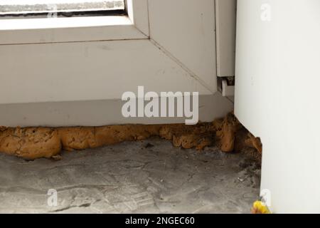 Reparatur der Neigung am Fenster, Pilze am Fenster, Fenster in der Wohnung Stockfoto