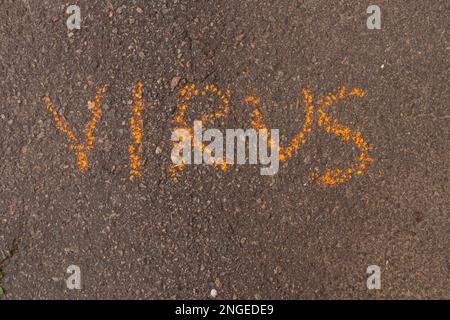 Das Wort Virus wird in englischer Kreide auf Asphalt geschrieben Stockfoto