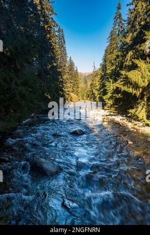 Der Fluss Bela in der Nähe von Podbanske im Tatra-Gebirge in der Slowakei an einem wunderschönen Herbsttag Stockfoto