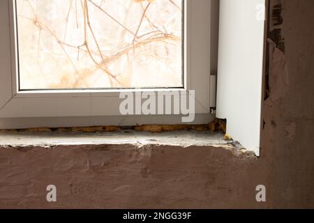 Reparatur der Neigung am Fenster, Pilze am Fenster, Fenster in der Wohnung Stockfoto