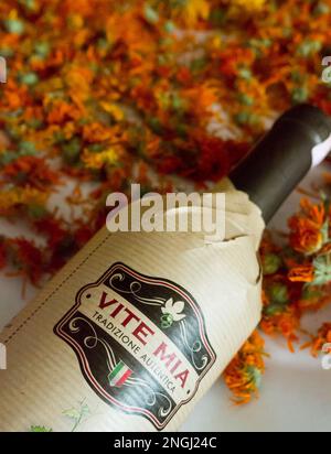 Wine VITE MIA. Stockfoto