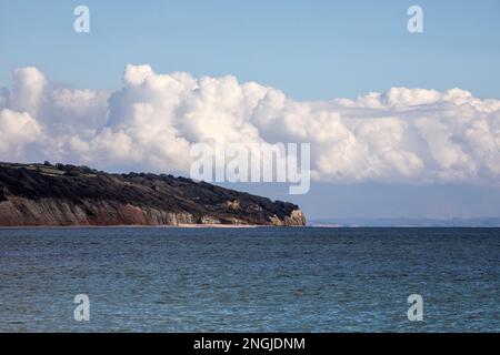 Die Aussicht vom Strand aus im Fischerdorf Beer in Devon, England. Weiße Kumuluswolken erstrecken sich über den Himmel über den fernen Klippen. Stockfoto