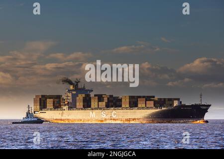 Containerschiff MSC SAO Paulo auf dem Weg zum Hafen Stockfoto