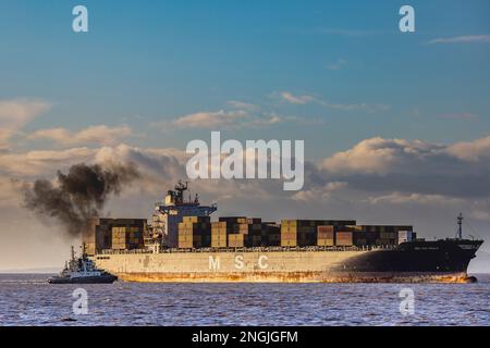 Containerschiff MSC SAO Paulo auf dem Weg zum Hafen Stockfoto