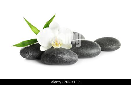 Wellnesssteine, wunderschöne Orchideenblume und Bambussprossen auf weißem Hintergrund Stockfoto