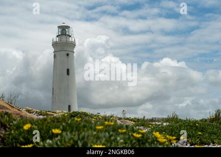 Seal Point Lighthouse, Cape St. Francis, Südafrika. Stockfoto