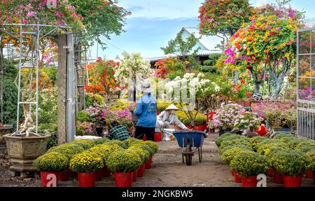 Ein Bauernladen, der Blumen und Zierpflanzen in der Stadt Sa DEC in der Provinz Dong Thap, Vietnam, verkauft Stockfoto