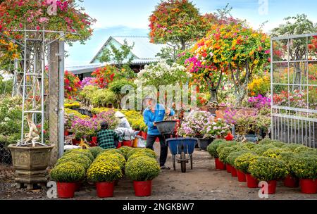 Ein Bauernladen, der Blumen und Zierpflanzen in der Stadt Sa DEC in der Provinz Dong Thap, Vietnam, verkauft Stockfoto