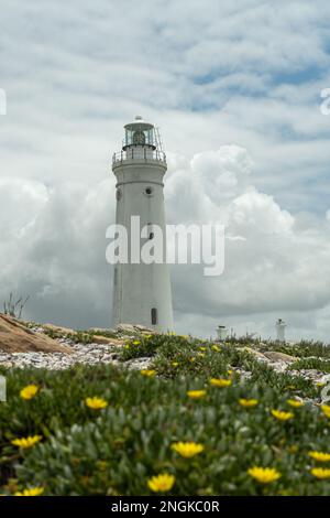 Seal Point ist ein Leuchtturm an der Cape St. Francis, Südafrika, erste Lichtung am 4. Juli 1878. Stockfoto