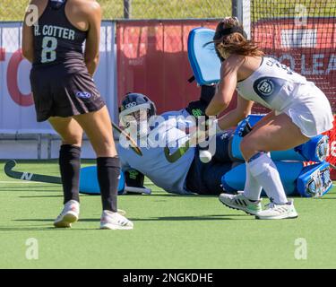 Wellington, Neuseeland. 18. Februar 2023. Newtown Kelsey Bing (31 USA) taucht im National Hockey Stadium in Wellington, Neuseeland, um beim internationalen Hockeyspiel zwischen den USA und Neuseeland zu sparen (Joe Serci - SPP) Guthaben: SPP Sport Press Photo. Alamy Live News Stockfoto