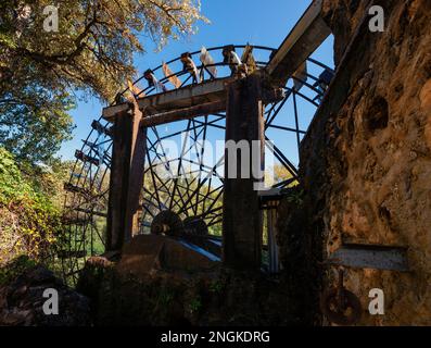 Das alte restaurierte Wasserrad Noria de Aceña in der Nähe von Cuevas de San Marcos am Ufer des Flusses Genil in Andalusien, Spanien. Stockfoto